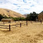 {"focusMode":1,"deviceTilt":0.005420120554514796,"whiteBalanceProgram":0,"macroEnabled":false,"qualityMode":3} (September 14, 2015)